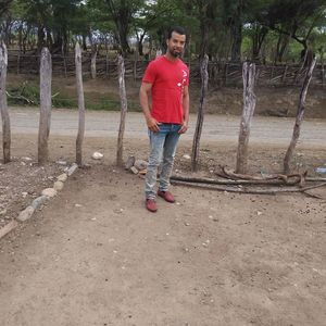 Meet your Posher, Franklin